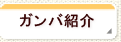 �ƒ닳�t�̃K���o�Љ�