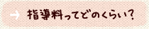 料金(指導料)につきまして