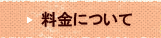 �ƒ닳�t�̗���