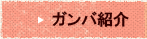 �ƒ닳�t�̃K���o�Љ�