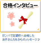 ���i�C���^�r���[